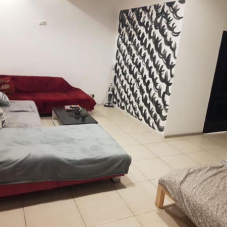 ティミショアラApartament Josefinアパートメント エクステリア 写真