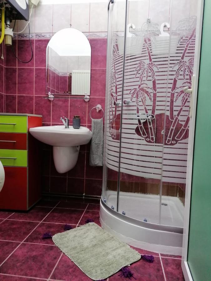 ティミショアラApartament Josefinアパートメント エクステリア 写真